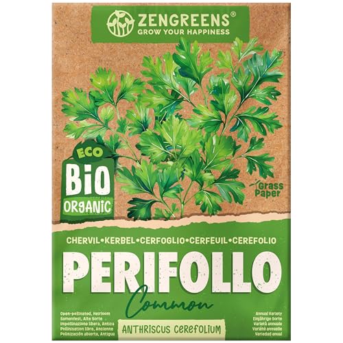 ZenGreens® - Semillas de perifollo ecológicas - Semillas de hierbas para cultivar fácilmente en el jardín, balcón o cocina - ideal para principiantes