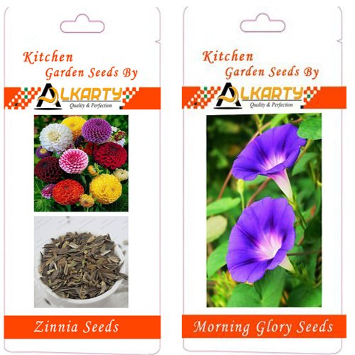 Zinnia and Morning Glory Seeds Pack of 20 (Summer)-image-5