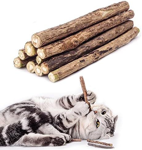 Cat Catnip Sticks Natural Matatabi Silvervine Sticks - Cleaning Teeth Molar Tools Kitten Cat Chew Toy Natural Catnip Mouse Cat Toy (20 PCS)
