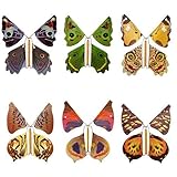 Liery 6 STÜCKE Flying Butterfly Kinder Magic Prop Spielzeug Magic Fairy Flying In The Book Butterfly Gummiband Powered Wind Up Schmetterling Spielzeug Großes Überraschungsgeschenk(zufällige Farbe)