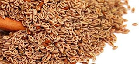 Isabgol/Psyllium Husk Seeds 500g