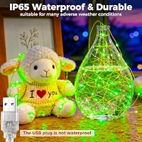 btfarm 2 Stück Lichterkette Innen USB, 5M 50 LED Grün – Ansicht 3