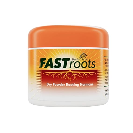 Divine Tree Fast Root Dry Powder Rooting Hormone for Plant Grow Nutrition 50 Gram