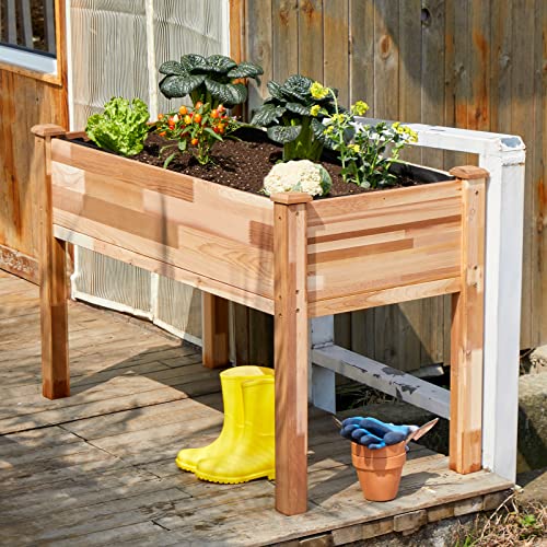 Amerlife Raised Garden Bed Cedar 4X2Ft- Elevated Wood Planter Box Protective Liner For Herbs Vegetable Flowers Outdoor Patio Backyard Western Red Cedar 6 Grow Area 500 Lbs Capacity #TOP2