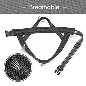 Didog Soft Mesh Padded Dog Vest Harnessescape Proofquick Fit Reflective Dog Strap Harness Easy for Training Walking xschest 1518 Meshblack  Cucciolini Doodles Didog soft mesh padded dog vest harnessescape proofquick fit reflective dog strap harness easy for training walking xschest 15 18 mesh black   cucciolini doodles