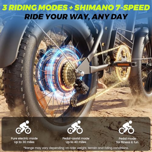 Electric Bike for Adults, 1000W/1500W/3000W Dirt Bike,