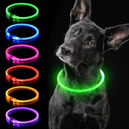 iTayga leuchthalsband Hund, USB-aufladbar und wasserdicht hundehalsband, verstellbare Länge, Sicherheitshalsband für Hunde und Katzen, 3 Modi, Grün