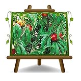 Nectarine Nana - Planta frutal portainjerto GF 677 en maceta 26 - árbol máximo 100 cm - 4 años