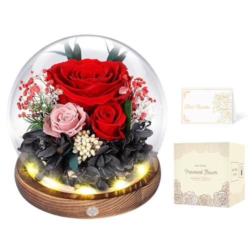 Rosa Eterna en Cúpula de Cristal con LED, Rosa Preservada por 5 Años, Flores Preservadas, Regalo para Mujer, Mamá, Novia o Esposa, Día de la Madre, San Valentín, Cumpleaños y Aniversario (Roja)