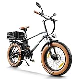 HANEVEAR E Bike Herren Damen, 18Ah/48V Batterie E Fatbike, 250W Motor & 80Nm, Reichweite bis 80-120 km, E-Mountainbike 20x4.0'' Offroad EBIKE für Jedes Gelände, mit LCD-Display