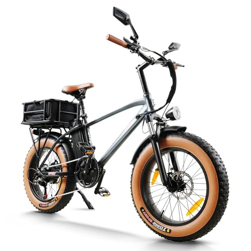 HANEVEAR E Bike Herren Damen, 18Ah/48V Batterie E Fatbike, 250W Motor & 80Nm, Reichweite bis 80-120 km, E-Mountainbike 20x4.0'' Offroad EBIKE für Jedes Gelände, mit LCD-Display
