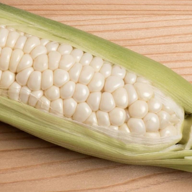Country Gentleman White Sweet Corn (Shoe Peg Corn) (Zea mays) Vegetable Seeds, Sweet, Delicate Flavor, Seeds by MySeeds.Co, You Choose The Amount (1/4