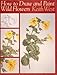 How to Draw and Paint Wildflowers: Step-by-step (Draw Books)