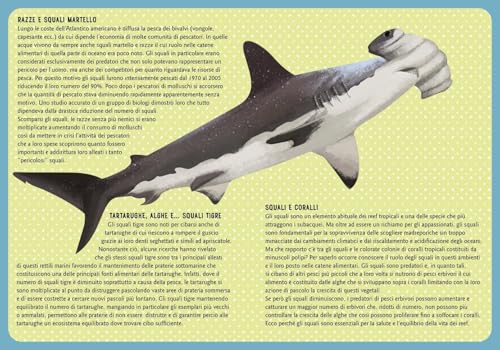 Squali, Balene E Altri Giganti Del Mare. Una Guida Illustrata Da 0 A 109 Anni. Ediz. A Colori - 5