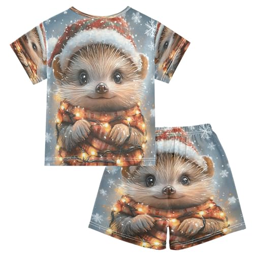 ALAZA Hedgehog Animal Snowflake Christmas Pajamas Set Short Sleeve Cotton Sleepwear Summer Pjs 2 Piece 5-14Y2