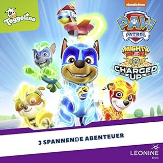 Der Sternschnuppen-Regen Titelbild