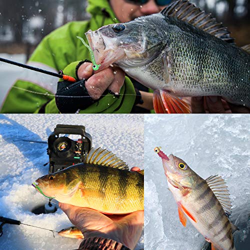 Goture Glow Ice Fishing Jigs 6 Types 57Pcs, Glow Ice Fishing Lures, Jig Heads Set With Soft Plastic Worm For Winter Crappie Walleye #TOP4