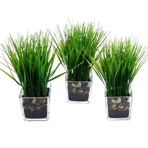 PeacefulHues 3-Pack Artificial Grass in Glass Planters, Small Faux Greenery