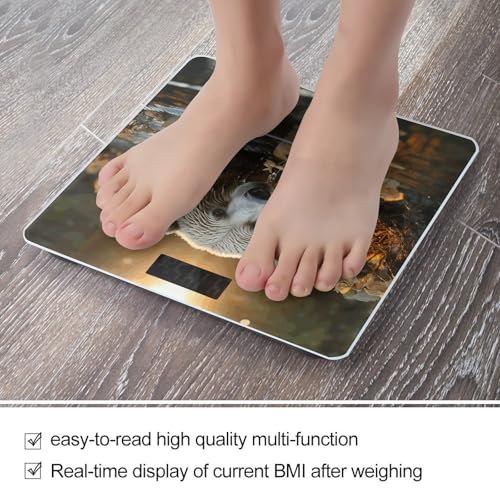 Báscula digital para baño Bear Crossing de vidrio templado miniatura 5