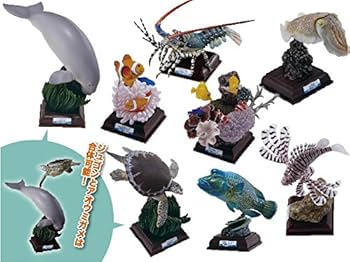 Amazon.co.jp: 【水族館限定】ネイチャーテクニカラー 鳥羽水族館 立体