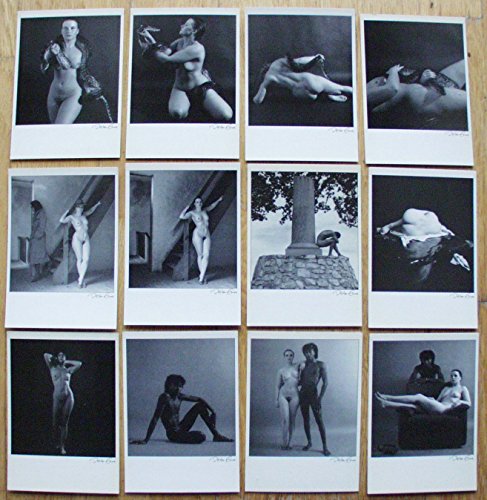 Erotik Kunst Postkarten von Dieter End 12 verschiedene