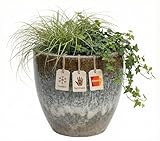 Teramico Premium Pflanzkübel Keramik glasiert – 100% Frostfest & Handarbeit. Blumenkübel mit Loch für Außen & Innen. Hochwertiger Übertopf Unikat Winterfest (Moos Braun, 20cm x 15cm)