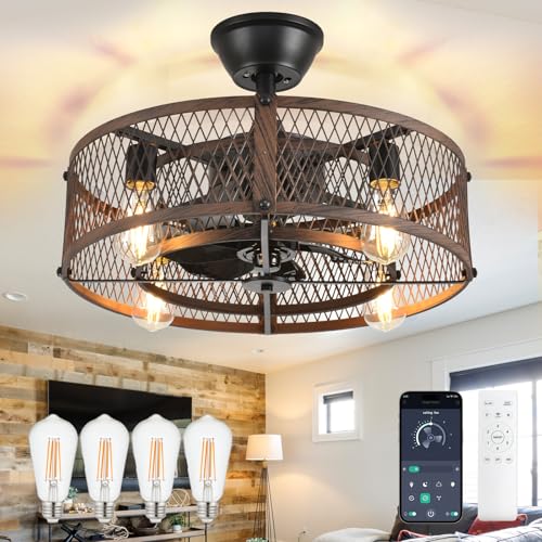 DLLT Caged Ceiling Fan with Lights: 20