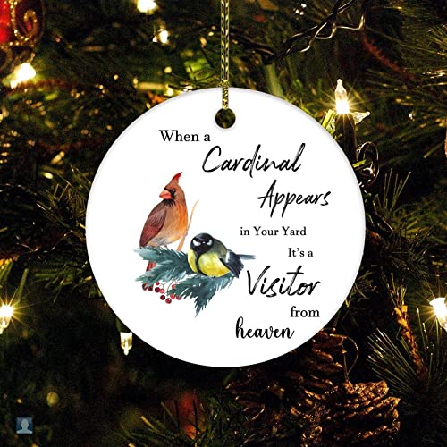 Quando un uccello rosso appare nel tuo cortile, è un visitatore dal cielo ornamento di Natale regalo di simpatia per famiglie, amici, ornamenti per albero di Natale, regali migliori per Natale