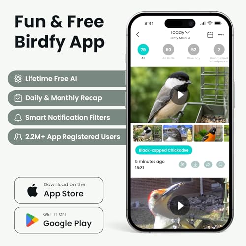 Image of Birdfy Smart Bird Feeder with Camera, Solar Powered, Gift for Bird Lovers