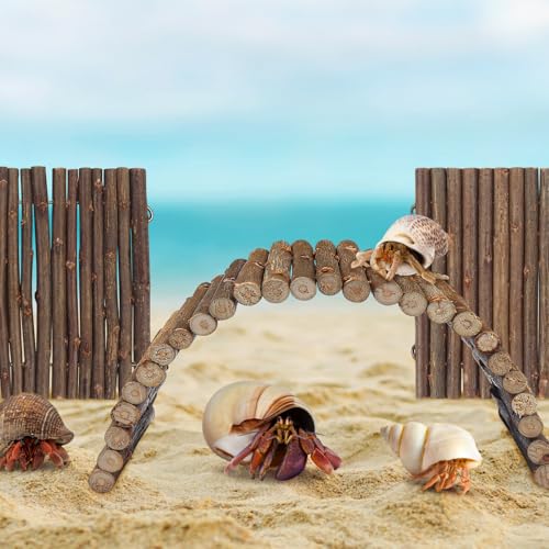 QUOZUO 2PCS Reptile Hideout Hermit Crab Bendable Bridge, Wooden Hermit Crab Hideout Climbing Toys, Reptile Tank Habitat Decor Hiding Hut for Lizards, Mice, Spiders - Image 5