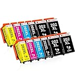 Clywenss 12-Pack 202XL Ink Cartridge Compatible with Epson 202 XL 202XL Multipack for Expression Premium XP6100 XP6105 XP-6100 XP-6105 XP-6000 XP-6005 XP6000 XP6005 Printer Ink (4BK, 2PBK, 2C, 2M, 2Y)