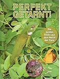 getarnte kamera badezimmer  Perfekt getarnt! Die besten Tricks aus dem Reich der Tiere