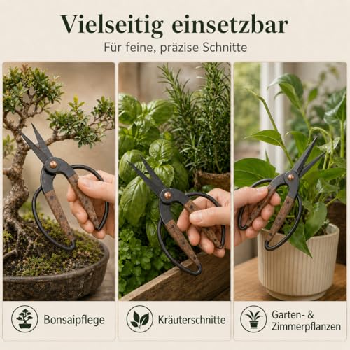 Traditionelle asiatische Bonsaischere, Pflanzenschere, Kräuterschere, Gartenschere, Blumenschere - aus schwarzem Edelstahl mit Walnussholzgriff