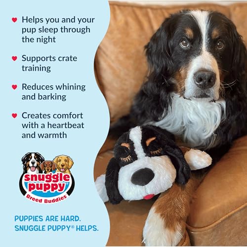 Image of Snuggle Puppy Heartbeat Toy, Calming Comfort, Breed Buddies Bernese