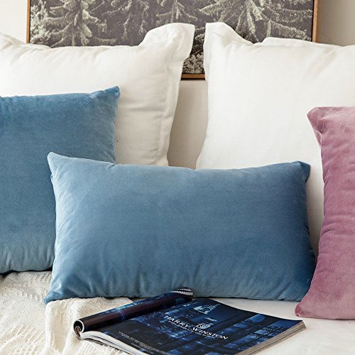 Image of MIULEE Velvet Throw Pillow Covers 12x20 Inch, Pack of 2 - Light Blue, Soft Solid Lumbar Decorative Pillow Covers Modern Luxury Home Decor for Spring Couch Sofa Bedroom Livingroom