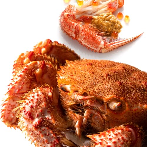 󂠂 уKj kC }KY ъI 500-530gO Jj ʔ I CN