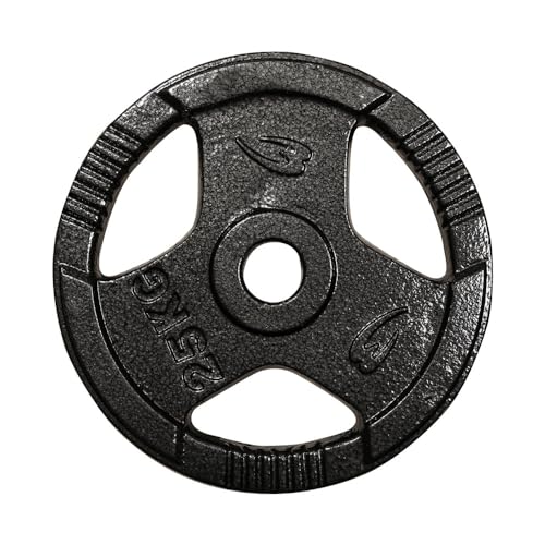 バーベル プレート 25kg」の人気商品一覧 | 安い商品を通販サイトから