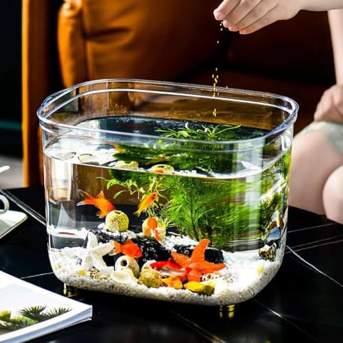 Dearolling、丸型、ハイプラスチック、透明アクリル、観葉植物、屋内容器、テーブル、??、大小リビングルーム造園水草プラスチックカメ観賞魚水槽 (小号方有盖,透明)