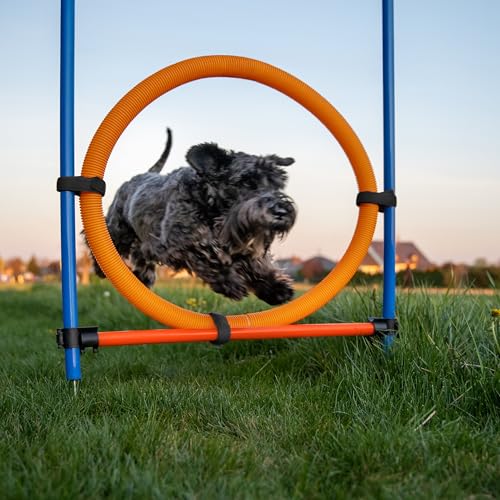 Relaxdays Agility Set, für Hunde, 76-TLG., Hürden höhenverstellbar, Sprungring & Slalomstangen, Tragetasche, blau/orange