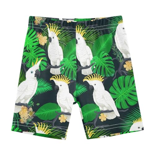 Birds Flower Dark Girls Bike Shorts Toddler Girl Clothes Under Dress Dance Shorts for Dresses,4T