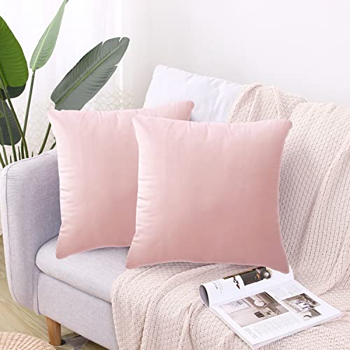CXTAI Kissenbezug 40x40 cm (2er Set Samt) Kissenbezüge Sofakissen Dekokissen Kissenhülle Zierkissen - Rosa