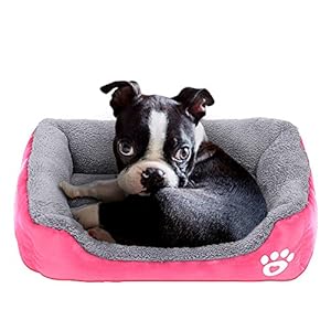 PowerKing Colchón Cuadrado para Cama de Perro pequeño, Lavable, Ideal para la habitación o la Parte Inferior Impermeable