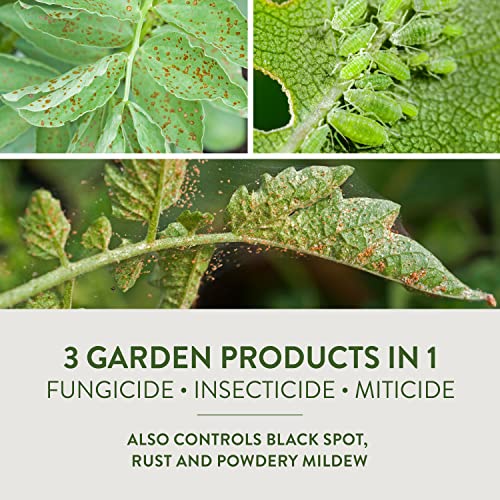 Garden Safe Fungicide 3 32 Oz. Ready To Use Trigger Spray Fungicide thumb #4