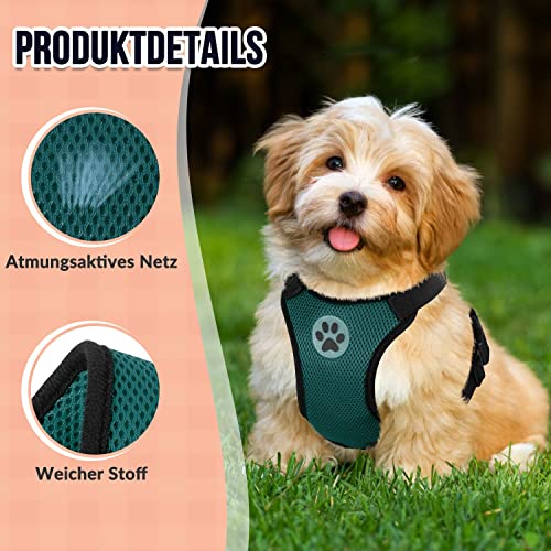 SlowTon Hundegeschirr für Hunde, No Pull Sicherheitsgeschirr Kleine Mittlere Hunde Brustgeschirr Dog Harness Weich Gepolstert Atmungsaktiv