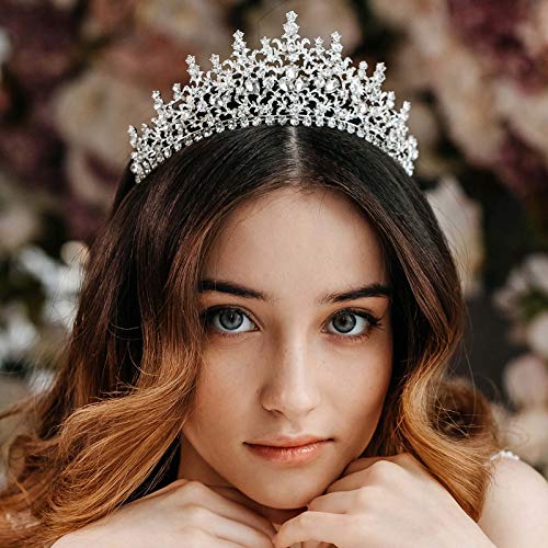 AW BRIDAL Tiaras and Crowns for Women Rhinestone Queen Crown Princess Tiara Prom Birthday Crown for Girls Wedding Pageant Halloween Hair Accessories, Silver