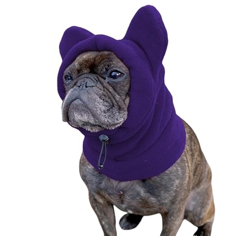 pjbgX ~p gh ^Et`uhbO (bhCS) (S,p[v)