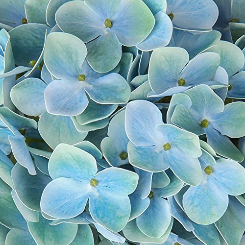 2Pcs Hortensia Kunstbloemen Decoratieve Blauwe Nep Bloemen Real-Touch Zijde Hortensia 63Cm Lange Stam Voor Thuis Hotel Kantoor Bruiloft Decoraties - Afbeelding 7
