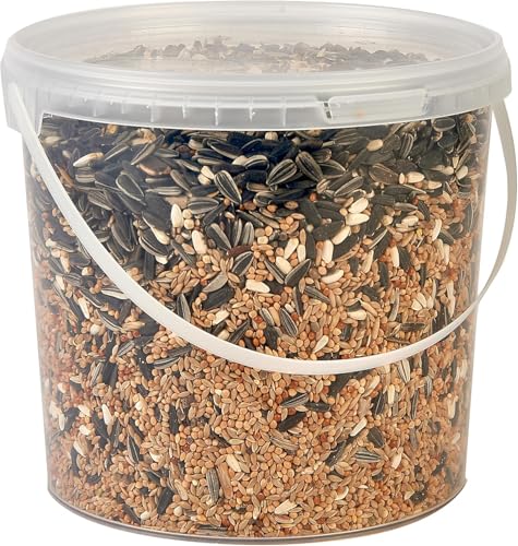 Hungry Pets Cockatiel and Parakeet seed Mix 2.5L (2.5L Tub)