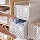 RMAN 2 Stück Kleiderschrank Organizer für Hose Schrank Organizer Faltbar Plastik Hosen Kleiderbügel für Kleidung 16 Zellen Schubladen Aufbewahrungsbox für Jeans, Hosen, Shirt, Pullover, BHS