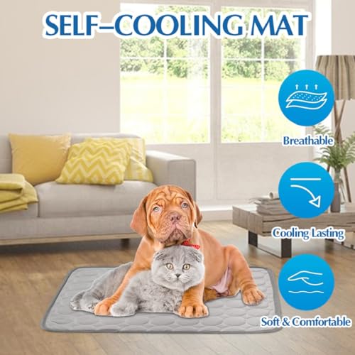 RANJIMA Kühlmatte für Hunde Groß, Selbstkühlend Hundematte 100 * 70cm Kühldecke für Hunde, Ungiftig Waschbar Hund Kühlkissen Hundekühlmatte XL für Drinnen, Draußen und Auto (Grau, 100x70cm)
